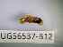  ( - BIOUG56537-B12)  @11 [ ] CreativeCommons Attribution (2023) Department of Invertebrate Zoology and Hydrobiology Department of Invertebrate Zoology and Hydrobiology