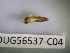  ( - BIOUG56537-C04)  @11 [ ] CreativeCommons Attribution (2023) Department of Invertebrate Zoology and Hydrobiology Department of Invertebrate Zoology and Hydrobiology