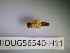  ( - BIOUG56540-H11)  @11 [ ] CreativeCommons Attribution (2023) Department of Invertebrate Zoology and Hydrobiology Department of Invertebrate Zoology and Hydrobiology