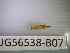  ( - BIOUG56538-B07)  @11 [ ] CreativeCommons Attribution (2023) Department of Invertebrate Zoology and Hydrobiology Department of Invertebrate Zoology and Hydrobiology