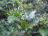  ( - Abbott9136)  @11 [ ] Unspecified (default): All Rights Reserved  Unspecified Unspecified