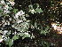  ( - Abbott9140)  @11 [ ] Unspecified (default): All Rights Reserved  Unspecified Unspecified