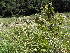  ( - Abbott9144)  @11 [ ] Unspecified (default): All Rights Reserved  Unspecified Unspecified