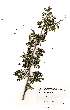  ( - OM0773)  @13 [ ] No Rights Reserved  Unspecified Unspecified