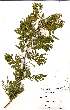  ( - OM1029)  @11 [ ] No Rights Reserved  Unspecified Unspecified
