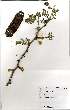  ( - OM1034)  @13 [ ] No Rights Reserved  Unspecified Unspecified