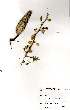  ( - OM1034)  @12 [ ] No Rights Reserved  Unspecified Unspecified
