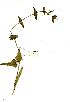  ( - OM1268)  @11 [ ] Unspecified (default): All Rights Reserved  Unspecified Unspecified