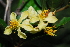  ( - OM1286)  @11 [ ] Unspecified (default): All Rights Reserved  Unspecified Unspecified