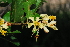  ( - OM1286)  @11 [ ] Unspecified (default): All Rights Reserved  Unspecified Unspecified