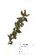  ( - OM1548)  @11 [ ] No Rights Reserved  Unspecified Unspecified