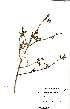  ( - OM1579)  @11 [ ] No Rights Reserved  Unspecified Unspecified