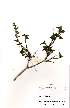  ( - OM1645)  @11 [ ] No Rights Reserved  Unspecified Unspecified
