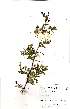  ( - OM1902)  @13 [ ] No Rights Reserved  Unspecified Unspecified