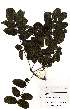  ( - OM1909)  @11 [ ] No Rights Reserved  Unspecified Unspecified