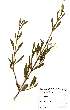  ( - OM1939)  @11 [ ] No Rights Reserved  Unspecified Unspecified