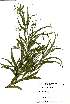  ( - OM1985)  @11 [ ] Unspecified (default): All Rights Reserved  Unspecified Unspecified
