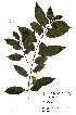  ( - OM1989)  @11 [ ] Unspecified (default): All Rights Reserved  Unspecified Unspecified