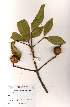  ( - OM2039)  @11 [ ] Unspecified (default): All Rights Reserved  Unspecified Unspecified