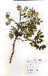  ( - OM2043)  @11 [ ] Unspecified (default): All Rights Reserved  Unspecified Unspecified