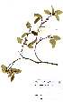  ( - OM2053)  @11 [ ] Unspecified (default): All Rights Reserved  Unspecified Unspecified
