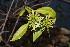  ( - OM2073)  @11 [ ] CreativeCommons - Attribution Non-Commercial Share-Alike (2010) Olivier Maurin University of Johannesburg