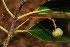  ( - OM2079)  @11 [ ] CreativeCommons - Attribution Non-Commercial Share-Alike (2011) Olivier Maurin University of Johannesburg