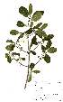  ( - OM2100)  @11 [ ] Unspecified (default): All Rights Reserved  Unspecified Unspecified