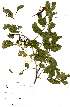  ( - OM2113)  @11 [ ] Unspecified (default): All Rights Reserved  Unspecified Unspecified