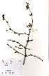  ( - OM2115)  @11 [ ] Unspecified (default): All Rights Reserved  Unspecified Unspecified