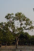  ( - OM2116)  @11 [ ] CreativeCommons - Attribution Non-Commercial Share-Alike (2010) Olivier Maurin University of Johannesburg