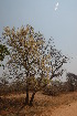  ( - OM2122)  @11 [ ] CreativeCommons - Attribution Non-Commercial Share-Alike (2010) Olivier Maurin University of Johannesburg