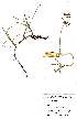  ( - OM0214)  @11 [ ] Unspecified (default): All Rights Reserved  Unspecified Unspecified