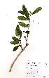  ( - OM2148)  @11 [ ] Unspecified (default): All Rights Reserved  Unspecified Unspecified