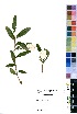  ( - OM2156)  @11 [ ] No Rights Reserved  Unspecified Unspecified