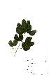  ( - OM2164)  @11 [ ] Unspecified (default): All Rights Reserved  Unspecified Unspecified