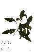  ( - OM2175)  @11 [ ] Unspecified (default): All Rights Reserved  Unspecified Unspecified
