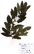  ( - OM2177)  @11 [ ] Unspecified (default): All Rights Reserved  Unspecified Unspecified