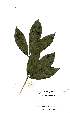  ( - OM2185)  @11 [ ] Unspecified (default): All Rights Reserved  Unspecified Unspecified