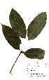 ( - OM2191)  @11 [ ] Unspecified (default): All Rights Reserved  Unspecified Unspecified