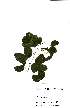  ( - OM2192)  @11 [ ] Unspecified (default): All Rights Reserved  Unspecified Unspecified