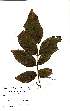  ( - OM2203)  @11 [ ] Unspecified (default): All Rights Reserved  Unspecified Unspecified