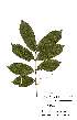  ( - OM2208)  @11 [ ] Unspecified (default): All Rights Reserved  Unspecified Unspecified