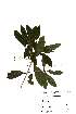  ( - OM2214)  @11 [ ] Unspecified (default): All Rights Reserved  Unspecified Unspecified