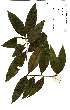  ( - OM2220)  @11 [ ] Unspecified (default): All Rights Reserved  Unspecified Unspecified