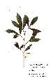  ( - OM2224)  @11 [ ] Unspecified (default): All Rights Reserved  Unspecified Unspecified