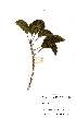  ( - OM2237)  @11 [ ] Unspecified (default): All Rights Reserved  Unspecified Unspecified