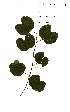  ( - OM2243)  @11 [ ] Unspecified (default): All Rights Reserved  Unspecified Unspecified