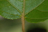  ( - OM2246)  @11 [ ] Unspecified (default): All Rights Reserved  Unspecified Unspecified