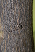  ( - OM2246)  @11 [ ] Unspecified (default): All Rights Reserved  Unspecified Unspecified